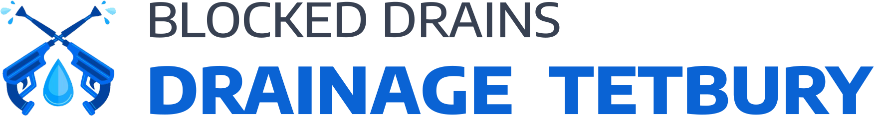website logo